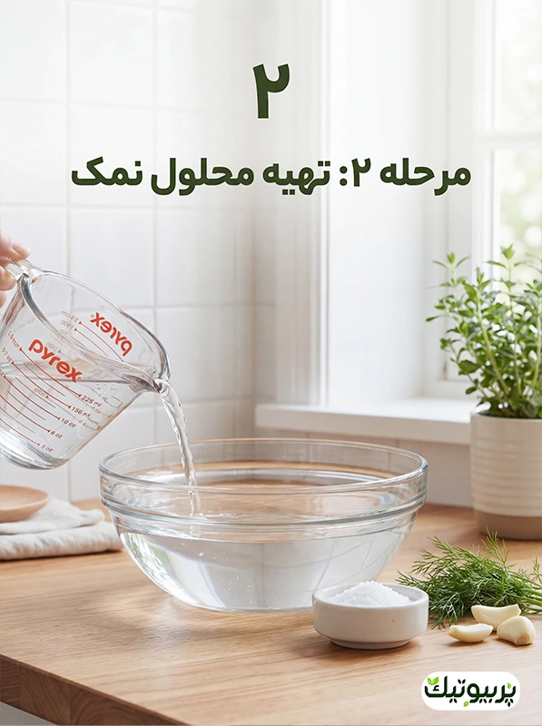 تهیه آب و نمک برای تخمیر