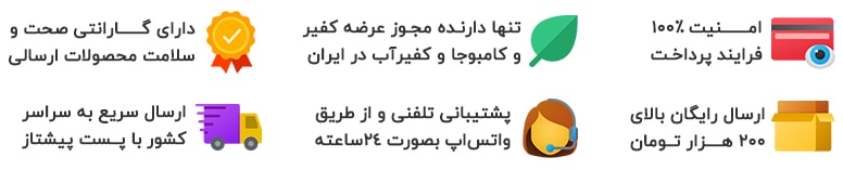 خدمات پروبیوتیک