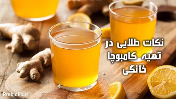 نکات طلایی کامبوچا