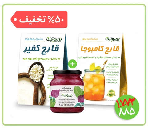 کامبوچا کفیر ساورکرات
