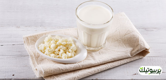 کفیر از کجا تهیه کنیم؟
